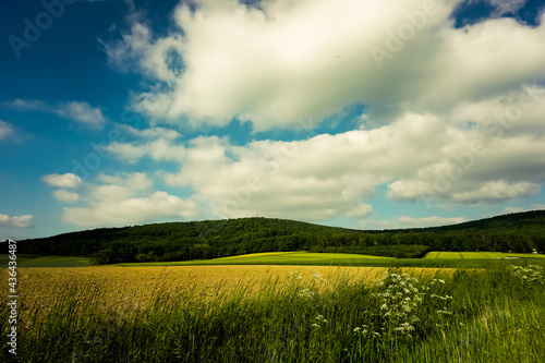 grass and sky