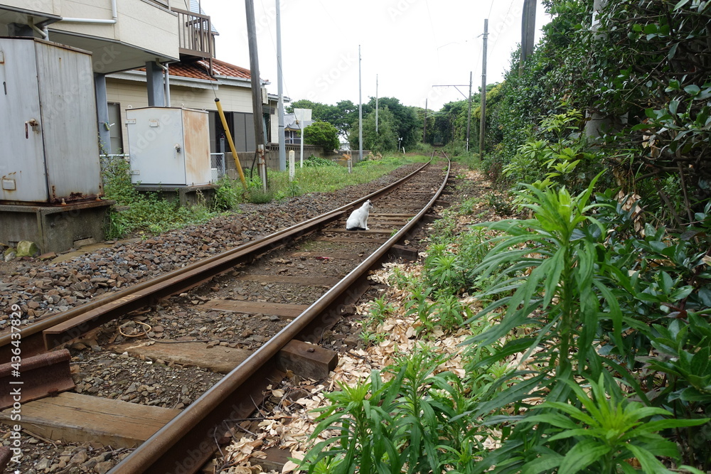 曇りの日の日本の線路 曇りの日の日本の線路