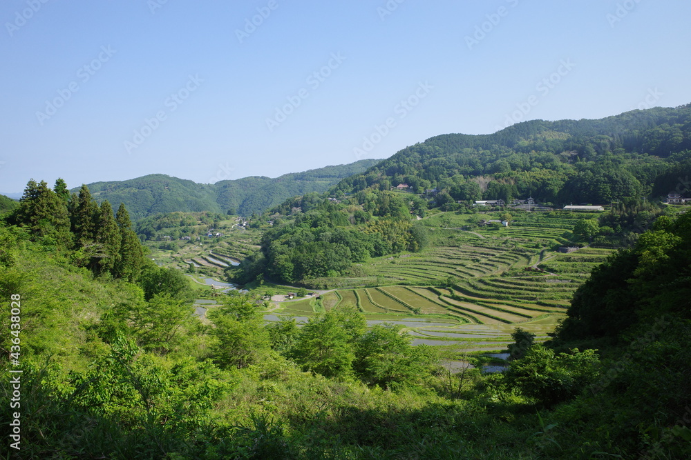 とても美しい日本の岡山県の棚田の風景