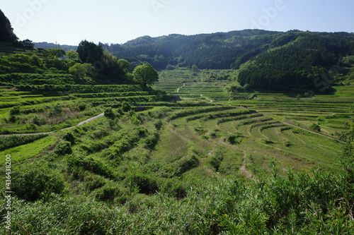 とても美しい日本の岡山県の棚田の風景
