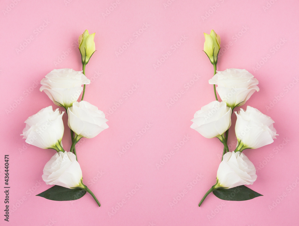 White flower on the pink background. Copy space. Top view. White flower on the pink background. Copy space. Top view.