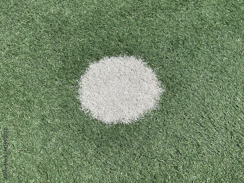 Various views of artificial turf soccer stadium