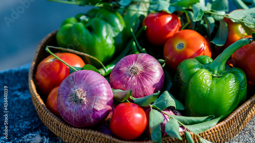 Farm fresh vegetables in soaking sun  onion  tomato  curry leaves  capsicum  carrot