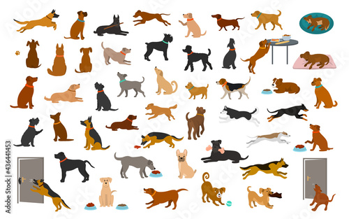 different dog breeds and mixed set, pets play running jumping eating sleeping, sit lay down and walk, steal food, bark, protect. isolated cartoon vector illustration graphic