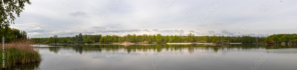 small islands with waterfowl in the pond, Vrbenske rybniky Nature reserve, Ceske Budejovice, Czech republic