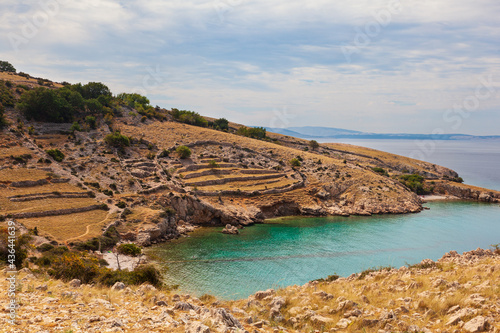 Fototapeta Naklejka Na Ścianę i Meble -  View of the dry stone wall in the Baska coast in the Krk island