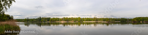 small islands with waterfowl in the pond, Vrbenske rybniky Nature reserve, Ceske Budejovice, Czech republic