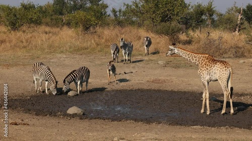 The beginning of the dry season