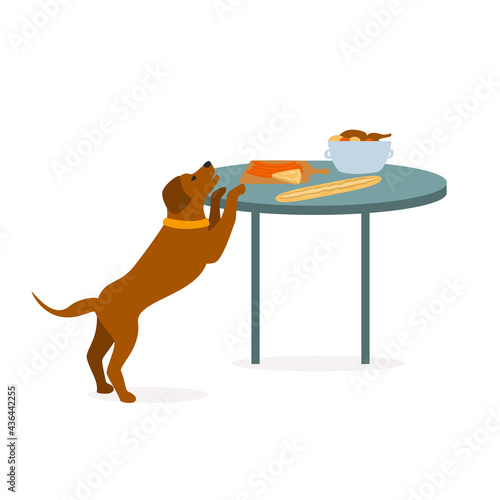 dog trying to steal human food graphic