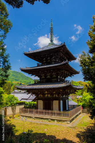 奈良 當麻寺の三重塔