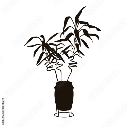 lucky bamboo in plant stand silhouette in black color graphic