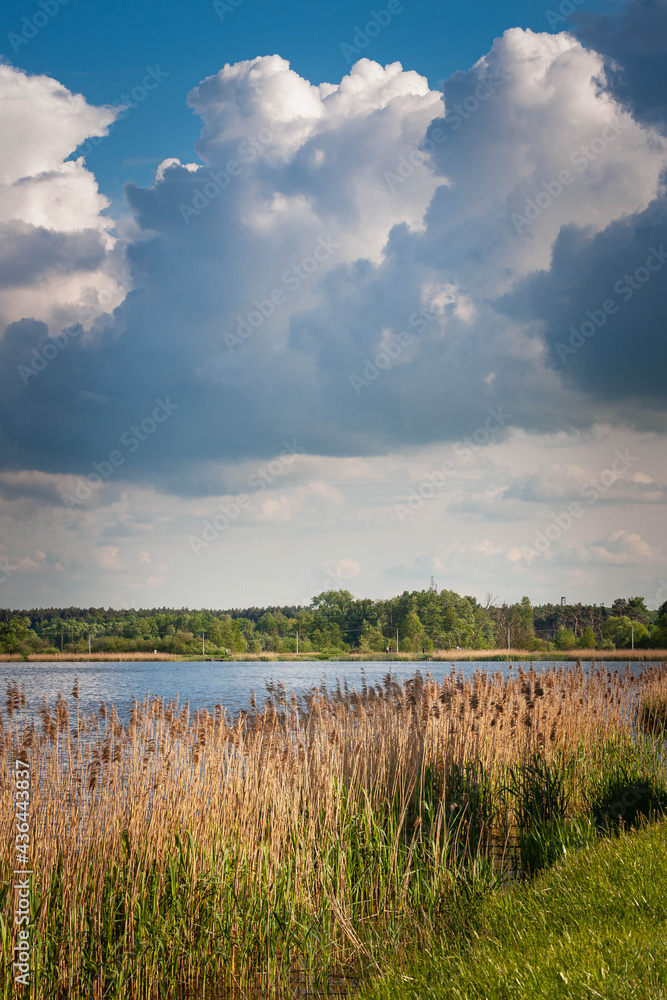 Krajobraz nad jeziorem