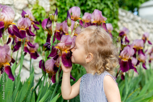 Portrait of little girl smelling Iris flowers.