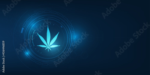 Canabis leaf on technology vector background.