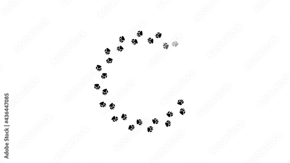 Dog foot prints download loop animation. Dog foot prints download loop animation.