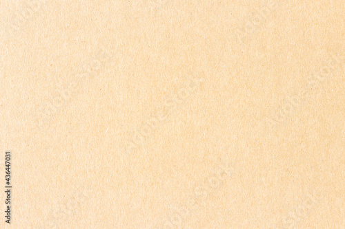 The surface of a flat cardboard sheet. Uniform light brown texture.