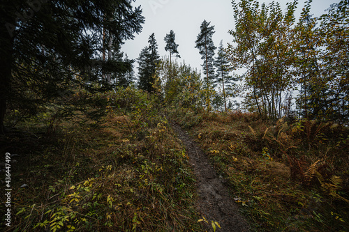 Mountain landscape. Misty forest. Natural outdoor travel background. Slovakia, Low Tatras, Demenovska hora and dolina vyvierania. Liptov travel. photo