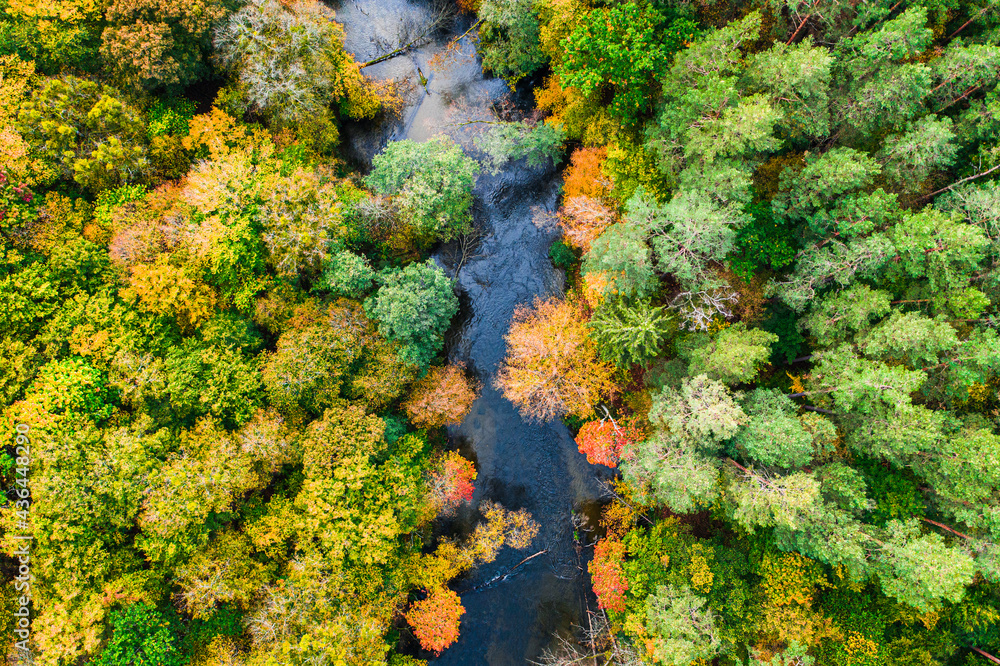 River and rorest in autumn. Aerial view of wildlife, Poland. River and rorest in autumn. Aerial view of wildlife, Poland.