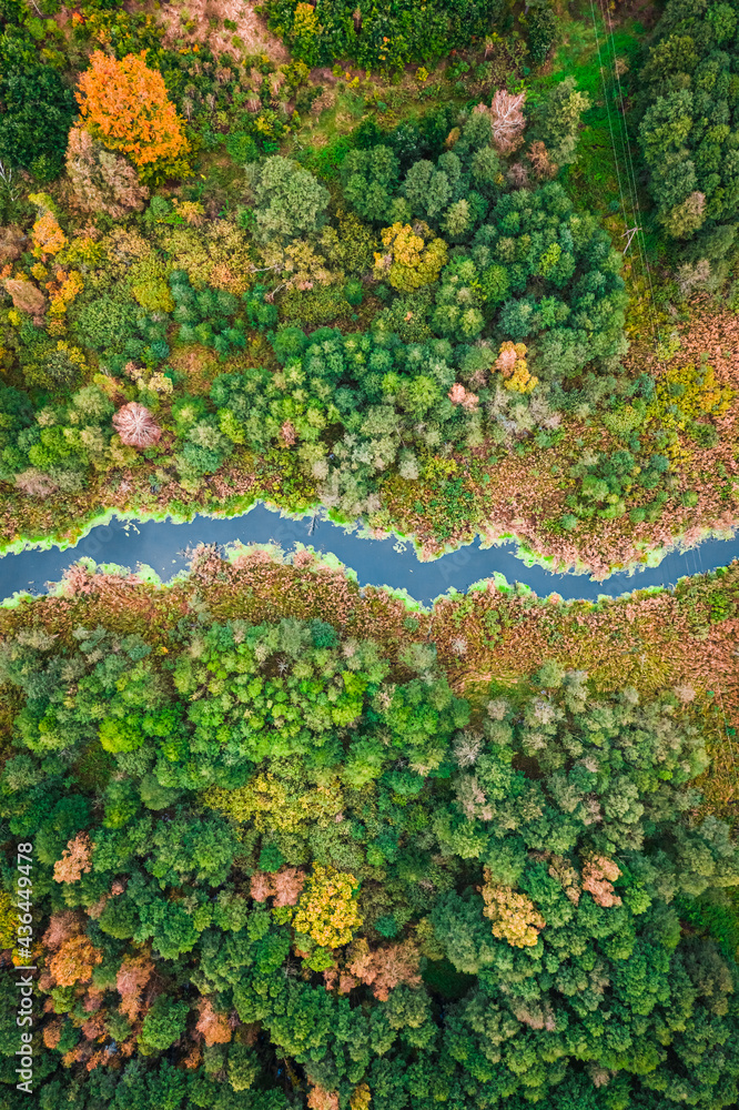 River and brown swamp. Aerial view on wildlife in autumn. River and brown swamp. Aerial view on wildlife in autumn.