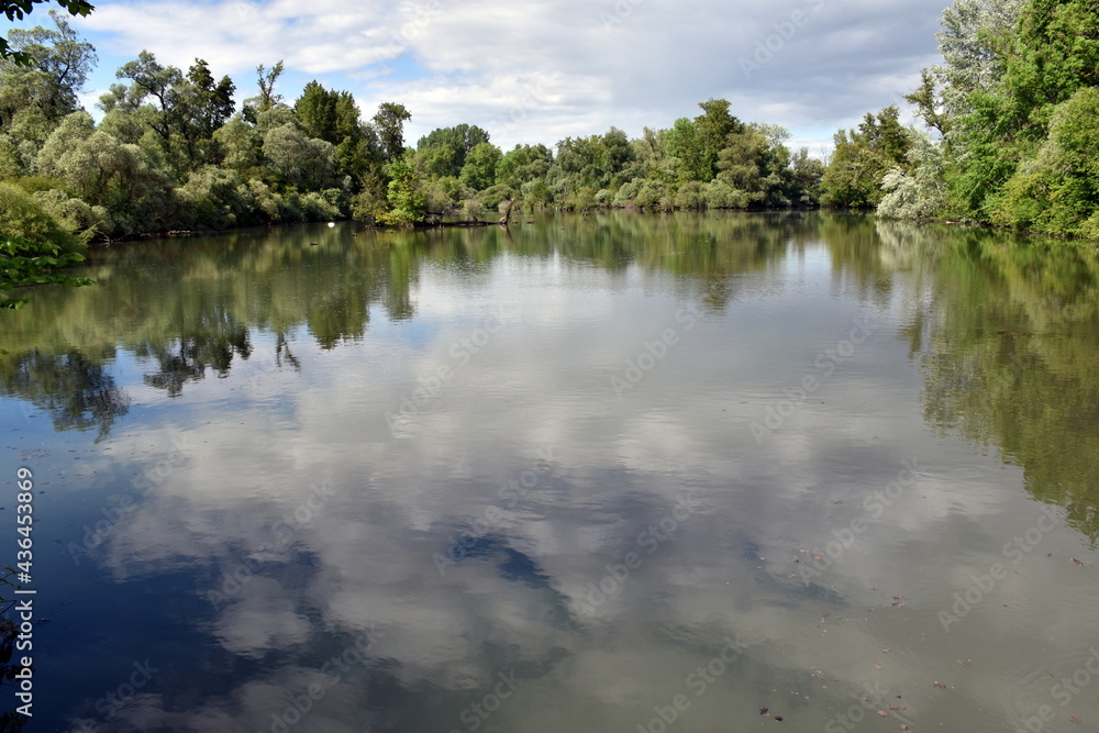 Naturschutzgebiet Taubergießen im Frühjahr Naturschutzgebiet Taubergießen im Frühjahr