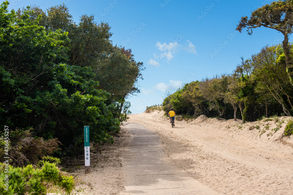 man going on a mountain bike ride in the forest