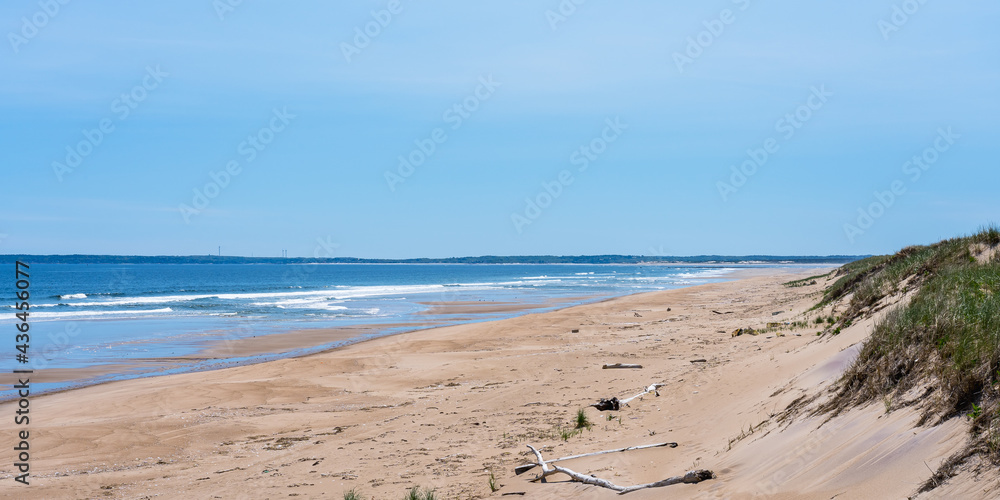 A panoramic view of the wild ocean beach of Plum Island on the northeast coast of Massachusetts. A place for nesting birds. A panoramic view of the wild ocean beach of Plum Island on the northeast coast of Massachusetts. A place for nesting birds.