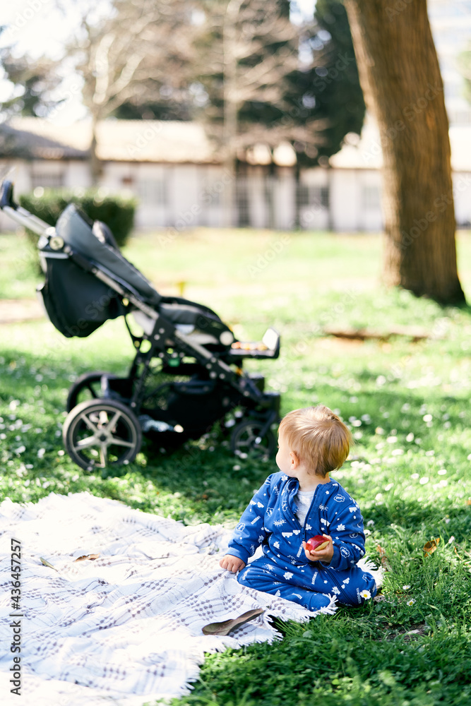 Small child in a blue overalls sits on a blanket on the lawn and holds an apple in his hand, turning his head to the stroller.
