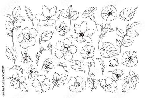Different Flowers, Buds and Leaves Set