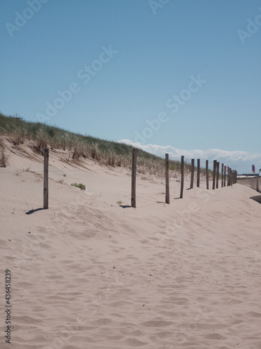 A fence with wooden poles in front of a dune with beach grass and blue sky as background