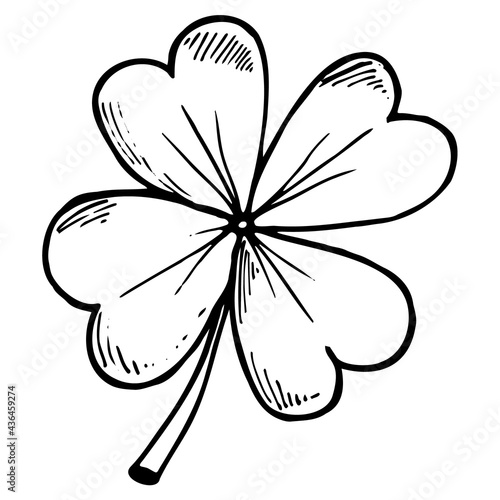Clover sketch illustration. Hand drawn four leaf clover. Vector illustration, isolated on white background.