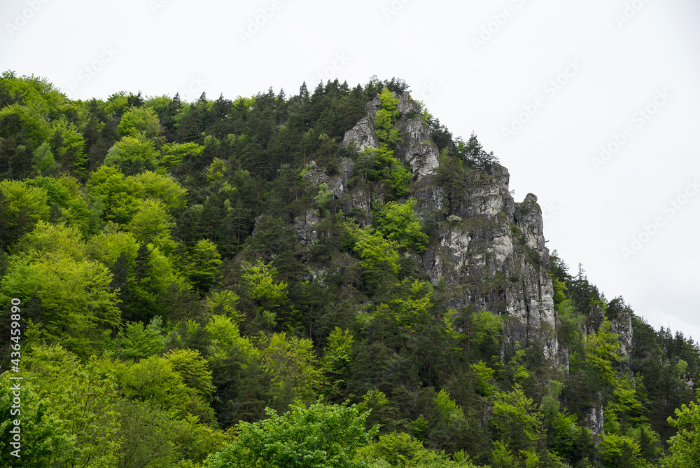Rocks in the mountain in the spring with new shoots Rocks in the mountain in the spring with new shoots