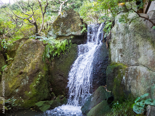 日本庭園で見られる美しい小さな滝
