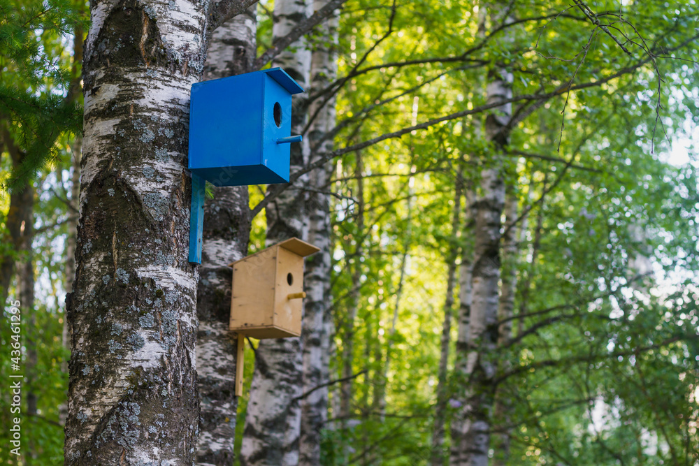 Birdhouses for birds in trees made by caring children, protection of wild birds Birdhouses for birds in trees made by caring children, protection of wild birds