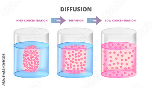 Vector scientific scheme of diffusion isolated on a white background. Movement of molecules and atoms from an area of higher or high concentration to an area of lower or low concentration. 