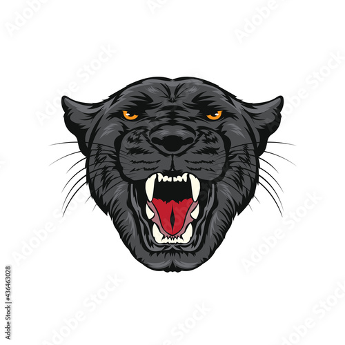 Panther face in wonderful color, good for tshirt design and tattoo also mascot design