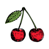 Cherry sketch illustration. Hand drawn cherry. Vector illustration, isolated on white background