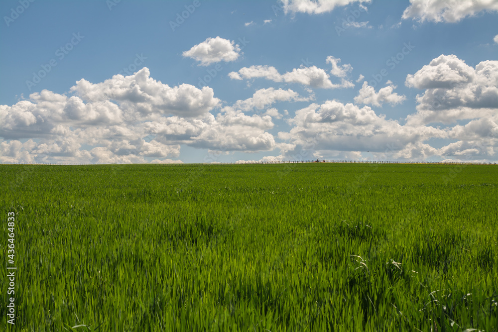 Obraz premium sommerlandschaft
