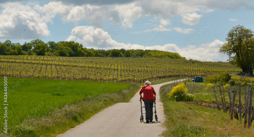 frau mit rollator unterwegs