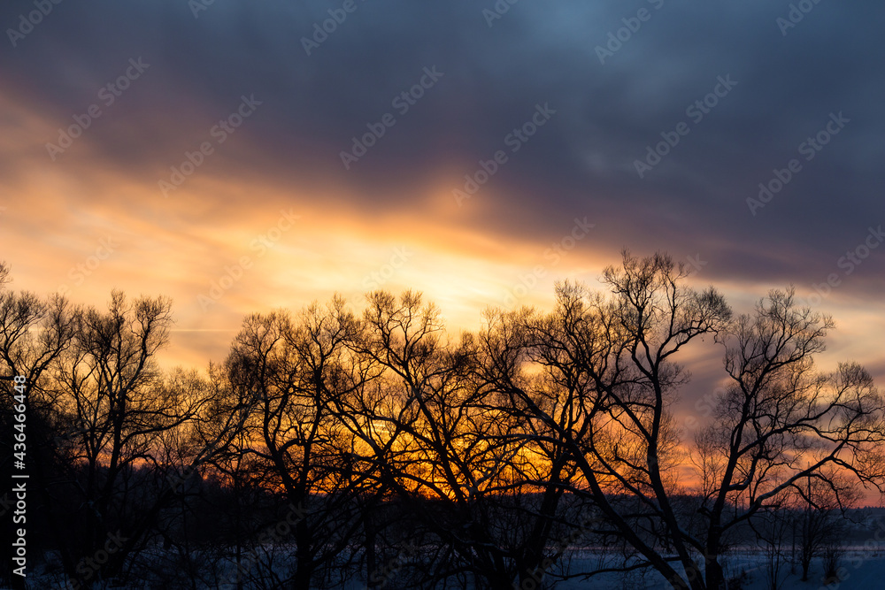 Colorful sunset behind the crowns of trees in winter