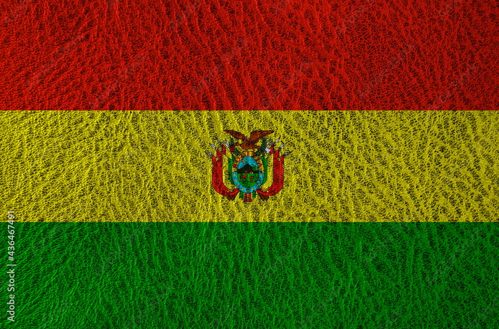 Fototapeta premium abstract leather texture with the flag