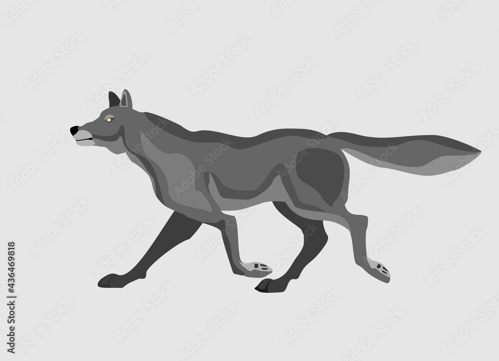 Fototapeta premium Grey Wolf running . Powerfull of a dangerous predator animal. A wild animal with gray fur. Side view. Vector illustration isolated on white 