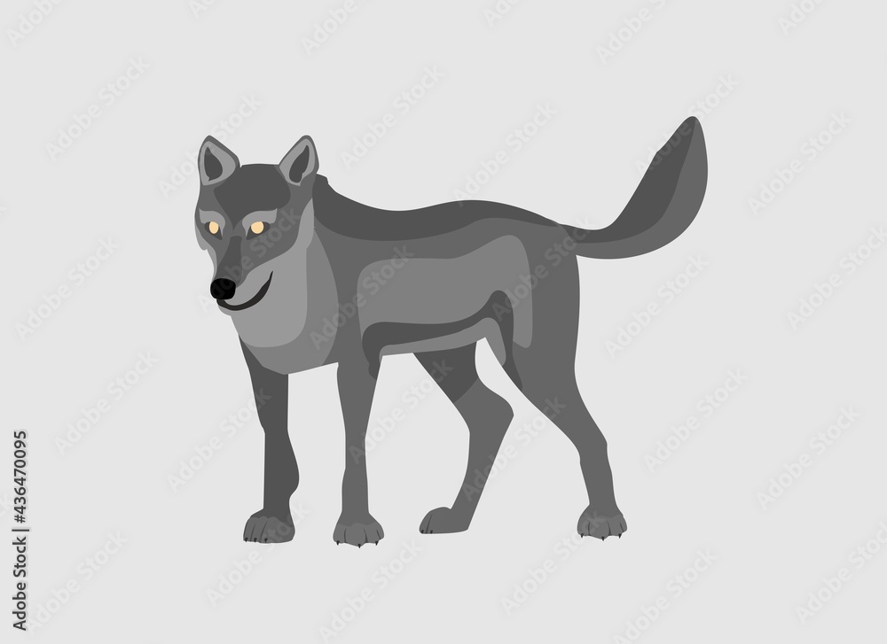 Grey Wolf looks in standing pose . Powerfull of a dangerous predator animal. A wild  animal with gray fur. Front view. Vector illustration isolated on  white 