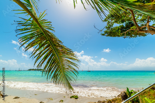 Fototapeta Naklejka Na Ścianę i Meble -  Palm trees and turquoise water in La Datcha beach