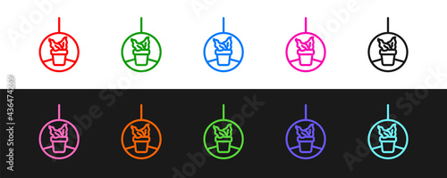 Set line Plant in hanging pot icon isolated on black and white background. Decorative macrame handmade hangers for flower pot, hang indoor plants. Vector