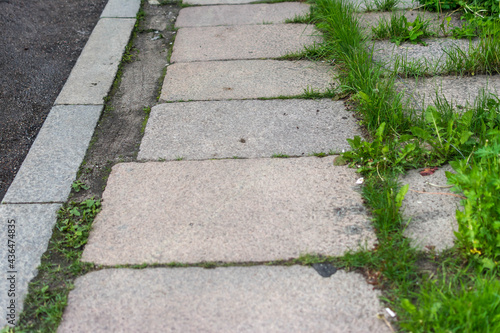 old pavement of granite slabs sprouted grass