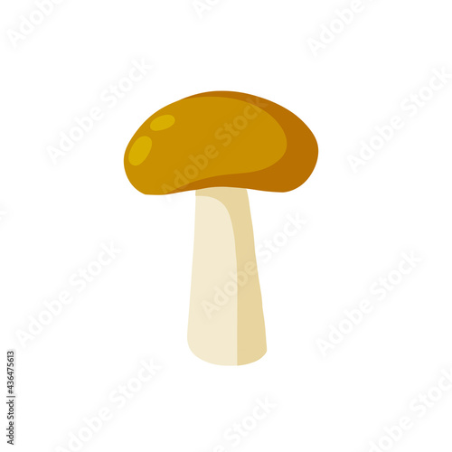 Boletus edulis. Eco-friendly cep food. Flat cartoon illustration. Mushroom with a brown cap. Natural product from the forest