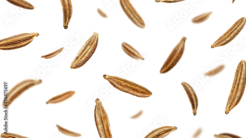 Falling caraway seeds isolated on a white background, top view. Cumin seeds in the air on a white background. Set of cumin seeds in the air. Caraway grains isolated on white background.