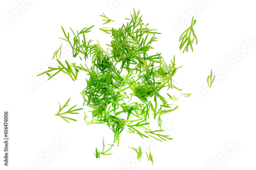 Sliced dill isolated on white background, top view, close-up. Fresh organic dill sliced on a white, top view. The spice for cooking is chopped green dill.