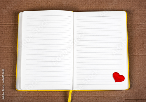 Opened Notepad closeup