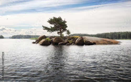 Pine tree grows in rock of small island with stones and boulders. Dramatically SOS shaped. Clean nordic nature of Baltic sea, gulf of Finland